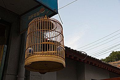 Steam夏日特卖已开启 多款大作提供折扣